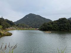 -广州市石门国家森林公园