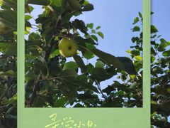 -沈阳奥林匹克体育中心