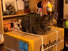 -云端咖啡私房店(河松街店)