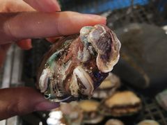 -谊品生鲜折扣店(红城丽景店)