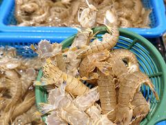 -半岛听涛蒸汽海鲜自助(K11店)