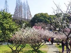 -无锡梅园公园