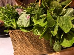 -芸山季·云南野生菌火锅(人民广场来福士店)