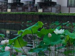 -桃源咖啡厅(武夷山大红袍山庄店)