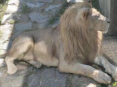 -石家庄市动物园