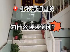 -中农大我爱我爱动物医院·核磁CT·猫病·24小时夜诊中心(石佛营店)