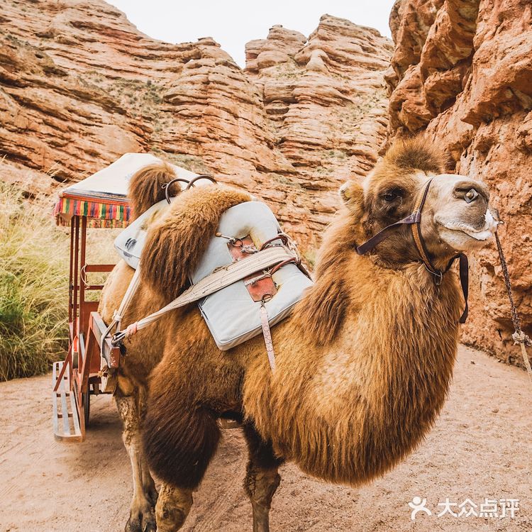 张掖旅行攻略｜平山湖大峡谷，爬山懒人路线