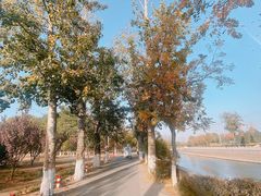 -东坝千亩湖公园