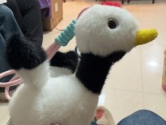 -盐城丹顶鹤湿地生态旅游区