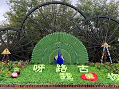 -呀路古热带植物园