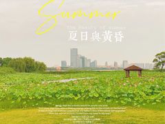 -苏州金鸡湖大酒店