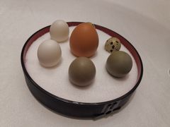 -冶春茶社(星汉大厦店)