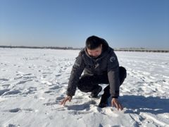 -丁香湖公园