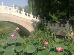 -丰台科技园生态主题公园