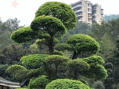 -龙头寺公园