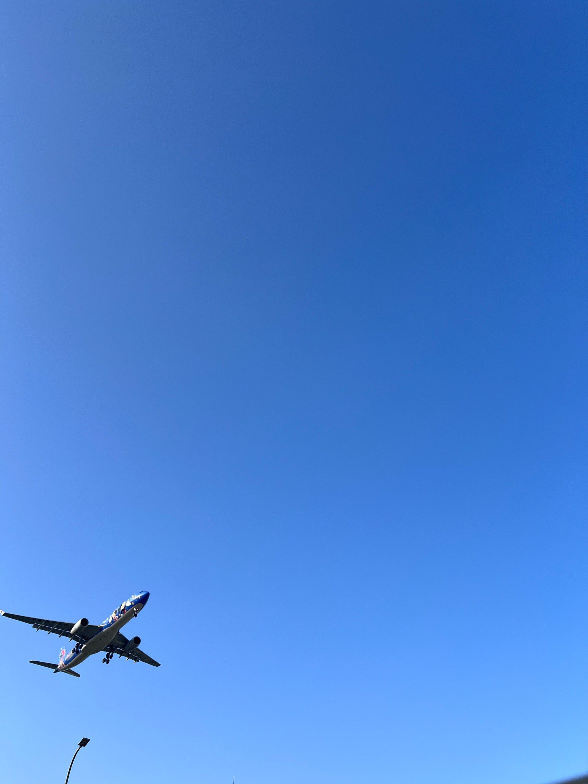 独自飞翔的小飞机