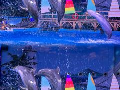 -海合安武汉极地海洋公园