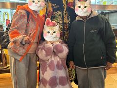 -陈麻婆豆腐(旗舰店)