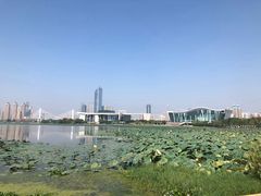 -月湖风景区