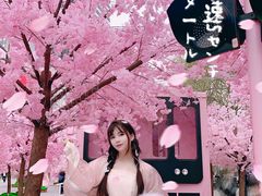 -金茂览秀城