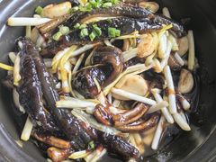 -扬州狮子楼·非遗淮扬菜(总店)