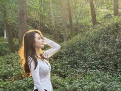 -火炉山森林公园