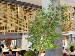 -拈菜(观音桥阳光世纪店)