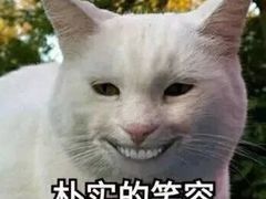 -宫廷糕点铺