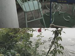 -Jo's Garden