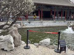-碑林公园