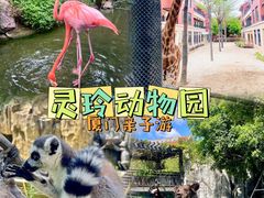 -灵玲国际马戏城