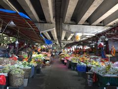 -小洲村