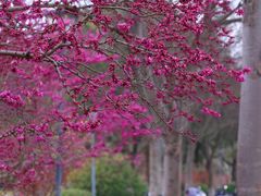 -东华大学(松江校区)