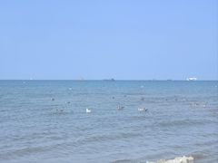 -宾朋海鲜美食餐厅·特色美食(兴海路店)