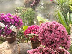 -南通洲际绿博园