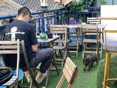 -Sirena海妖日咖夜酒