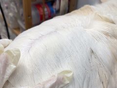 -瑞鹏宠物医院·骨科·猫科·内科(第一中心)