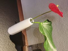 -晓长安·新陕菜(曲江店)