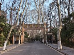 -灵谷景区