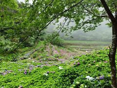 -鼓岭旅游度假区