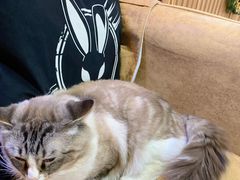 -白兔子密室(长寿路店)