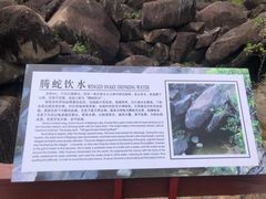 -广州白江湖森林公园