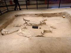 -洛阳周王城天子驾六博物馆