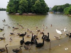 -艾溪湖湿地公园