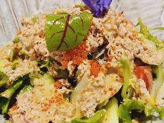 金枪鱼沙拉-活鳗饭·鹅肝范儿(高碑店店)