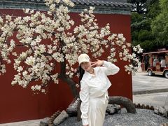 -华清宫景区