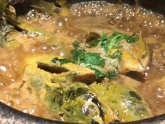 白洋淀石锅嘎鱼-小放牛炒菜馆(三丰店)