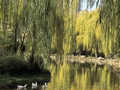 -木塔寺遗址生态公园