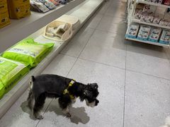 -comecome来吧宠物(奥克斯中心店)