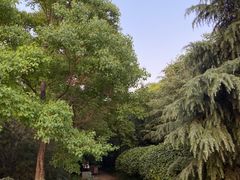 -西吴河科普公园